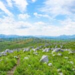 秋芳洞から秋吉台へ！回り方とモデルコース・所要時間を徹底ガイド