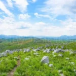 秋芳洞から秋吉台へ！回り方とモデルコース・所要時間を徹底ガイド