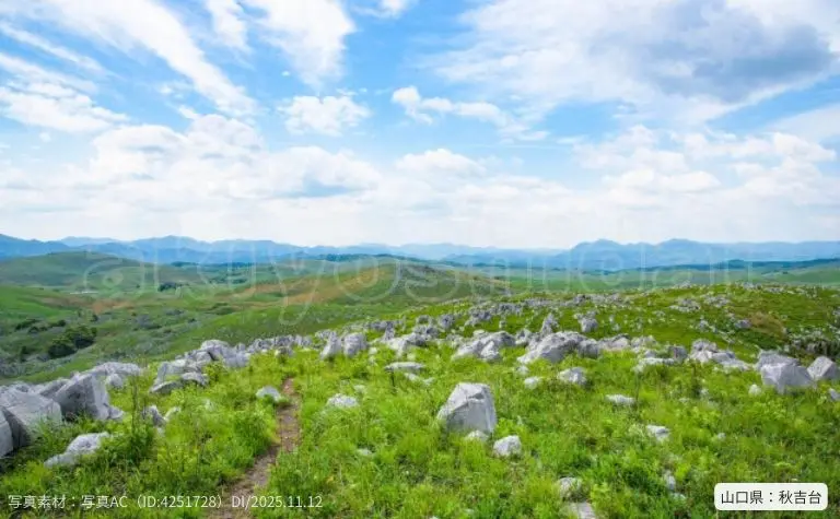 秋吉台カルスト台地の石灰岩と草原の風景